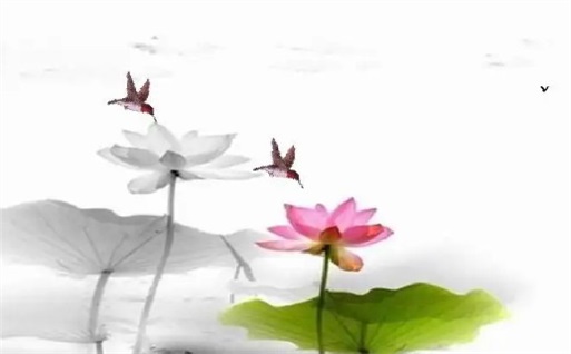 2024年农历九月初四是动土好日子吗 动土建房吉利吗