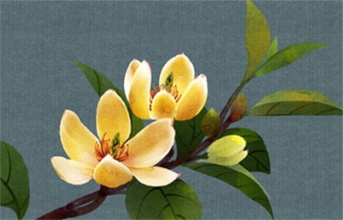 2026年06月11日动土黄道吉日 宜动土建房吉日查询