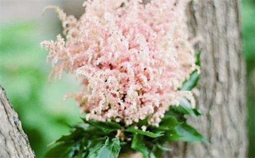 2024年农历十月三十结婚好吗 办喜事吉利吗