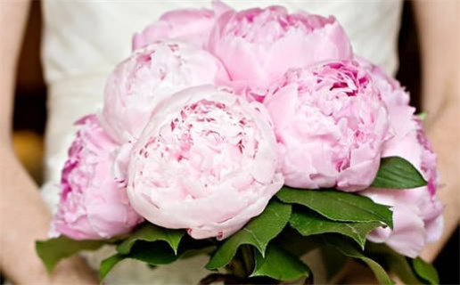 2025年07月25日结婚吉日查询 今日办喜事好吗