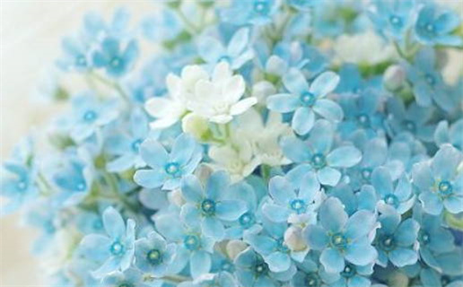 2024年11月30日是结婚好日子吗 宜办喜事吉日查询