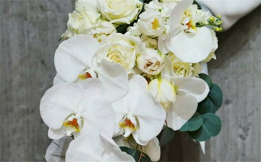 2024年10月21日结婚好不好 宜办喜事吉日查询 2024年10月21日结婚好不好 宜办喜事吉日查询