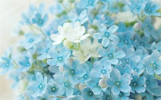 2026年农历冬月廿二是结婚好日子吗 今日办喜事好不好