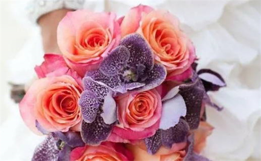 2024年农历冬月初二结婚黄道吉日 办喜事吉利吗 2024年农历冬月初二结婚黄道吉日 办喜事吉利吗