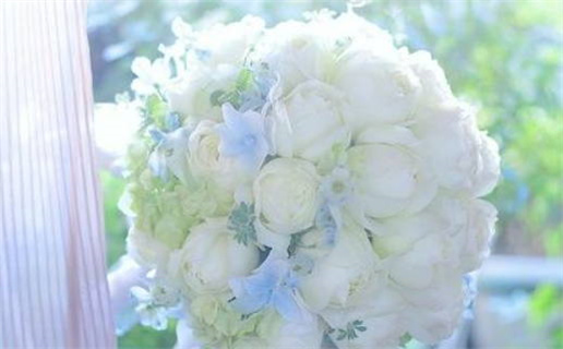 2025年02月24日领证好吗 今日登记领证好吗 2025年02月24日领证好吗 今日登记领证好吗