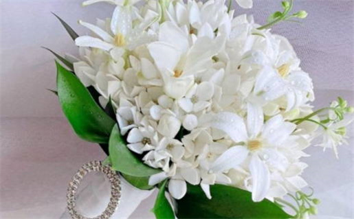 2025年农历正月初十是领证好日子吗 今日领证好不好