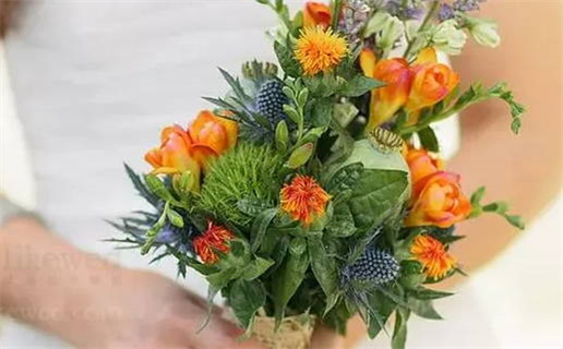 2026年06月20日领证好不好 今日领证好不好 2026年06月20日领证好不好 今日领证好不好