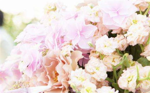 2026年07月09日是领证好日子吗 宜领证吉日查询 2026年07月09日是领证好日子吗 宜领证吉日查询