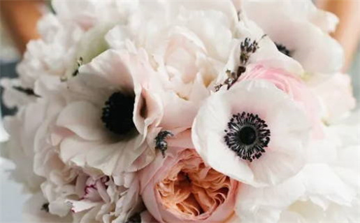 2024年11月21日领证日子如何 今日领证结婚好吗 2024年11月21日领证日子如何 今日领证结婚好吗