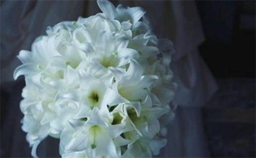 2025年10月30日领证吉日查询 今日领证结婚好不好