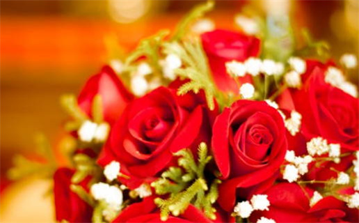 2025年10月12日领证好不好 登记结婚吉利吗