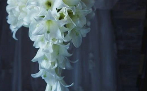 2024年农历冬月初二是不是领证吉日 今日登记领证好不好