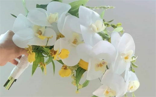 2026年农历五月廿六领证好不好 今日登记领证好不好