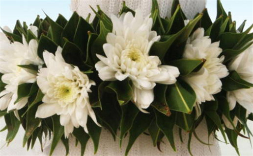 2024年农历九月廿八领证日子如何 宜领证结婚吉日查询