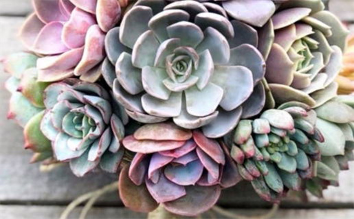 2024年11月28日是不是领证吉日 是领证好日子吗