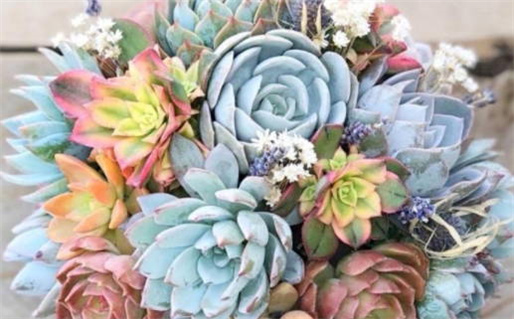 2026年07月04日领证好吗 今日登记结婚好不好 2026年07月04日领证好吗 今日登记结婚好不好