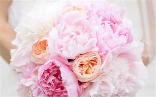 2024年09月24日领证好不好 是登记领证好日子吗