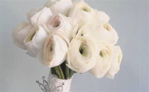 2024年农历冬月二十是不是领证吉日 今日领证结婚好不好