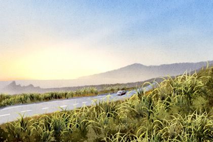 2025年农历正月初六提车好不好 宜提车买车吉日查询 2025年农历正月初六提车好不好 宜提车买车吉日查询