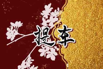 2024年农历冬月初二是提车好日子吗 宜买新车吉日查询