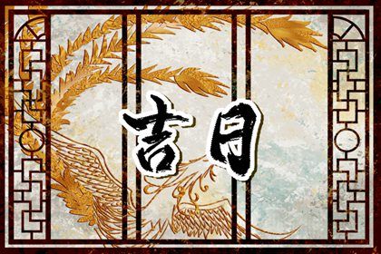 2024年农历冬月十四提车日子如何 今日提车买车好不好 2024年农历冬月十四提车日子如何 今日提车买车好不好