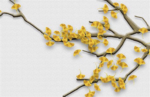 2025年农历七月廿一装修好吗 今日装潢房子好吗 2025年农历七月廿一装修好吗 今日装潢房子好吗