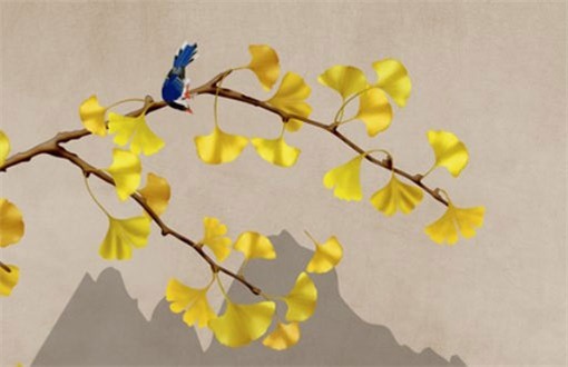 2024年09月19日装修日子如何 装修吉利吗