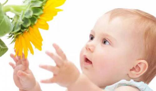 周姓五行缺木女孩取名 取清新好名技巧