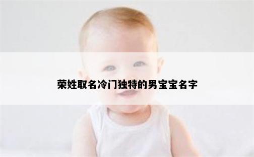荣姓取名冷门独特的男宝宝名字