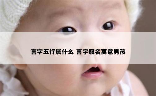言字五行属什么 言字取名寓意男孩