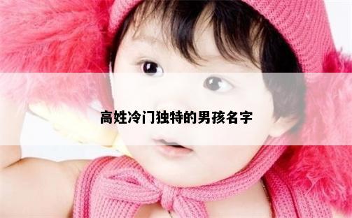 高姓冷门独特的男孩名字