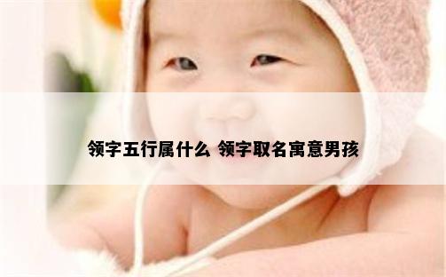 领字五行属什么 领字取名寓意男孩