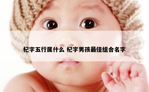 杞字五行属什么 杞字男孩最佳组合名字
