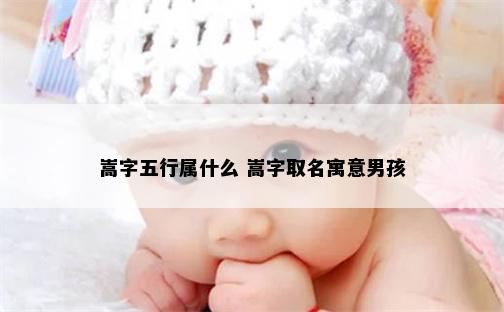 嵩字五行属什么 嵩字取名寓意男孩