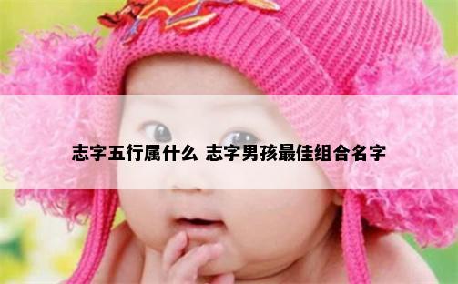志字五行属什么 志字男孩最佳组合名字