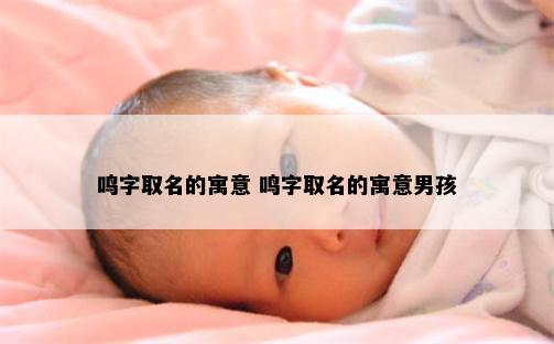 鸣字取名的寓意 鸣字取名的寓意男孩