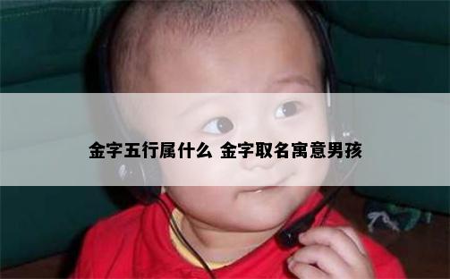 金字五行属什么 金字取名寓意男孩