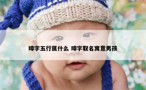 璋字五行属什么 璋字取名寓意男孩
