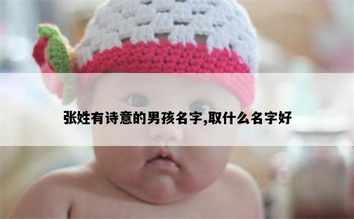 张姓有诗意的男孩名字,取什么名字好