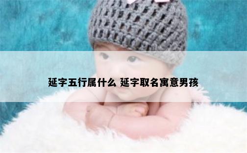 延字五行属什么 延字取名寓意男孩