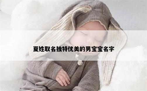 夏姓取名独特优美的男宝宝名字
