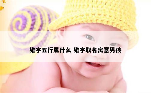 维字五行属什么 维字取名寓意男孩