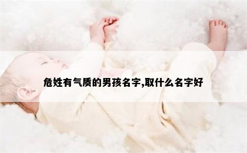 危姓有气质的男孩名字,取什么名字好