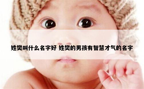 姓樊叫什么名字好 姓樊的男孩有智慧才气的名字