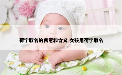 荷字取名的寓意和含义 女孩用荷字取名