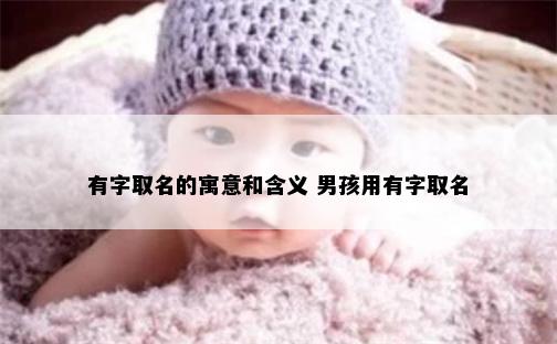 有字取名的寓意和含义 男孩用有字取名