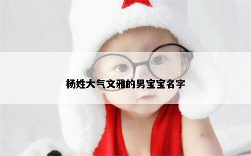 杨姓大气文雅的男宝宝名字