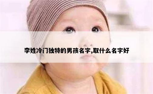 李姓冷门独特的男孩名字,取什么名字好