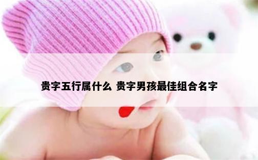 贵字五行属什么 贵字男孩最佳组合名字