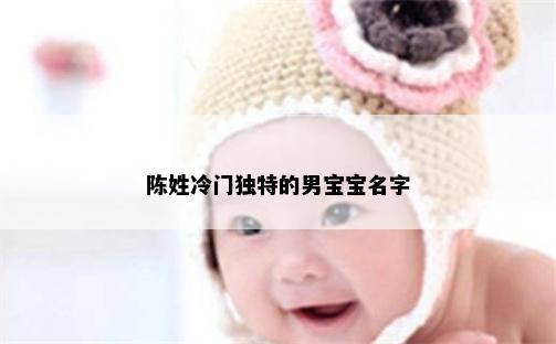 陈姓冷门独特的男宝宝名字